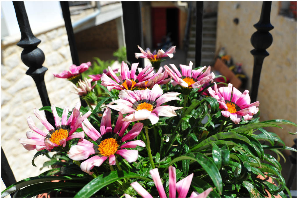 ביבינייה Apartments Cvita חדר תמונה